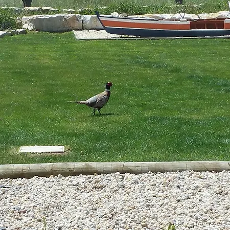 Farm stay Azenha
